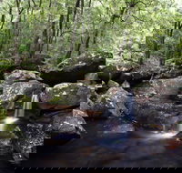 Kangaroo River - Accommodation Fremantle