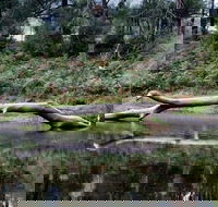 Kayaking Upper Tuross River and Bumbo Lake - Accommodation Fremantle