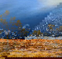 Lyn Barnes Gallery - Accommodation Fremantle