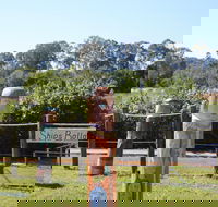 Maryboroughs Bollards - Accommodation Fremantle