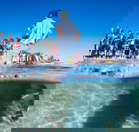 Monkey Mia - Accommodation Fremantle