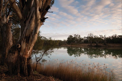 Murray-Kulkyne Regional Park - Accommodation Fremantle 0