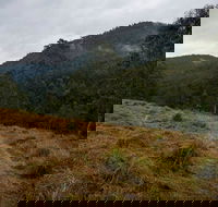 Nowendoc National Park - Accommodation Fremantle