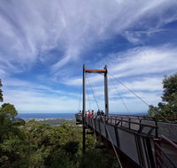 Orara East State Forest - Accommodation Fremantle