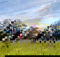 Port Macquarie Horse Riding Centre - Accommodation Fremantle