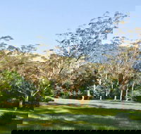 Red Cedar Flat Picnic Area - Accommodation Fremantle