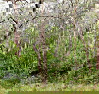 Scutts Hut Trail - Accommodation Fremantle