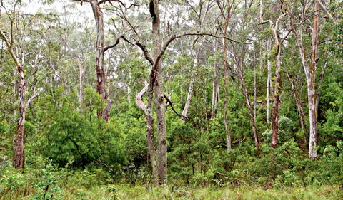 Scutts Hut Trail - Accommodation Fremantle 0