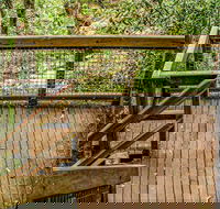 Somersby Falls walking track - Accommodation Fremantle
