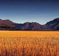 Southern Wonders Wildflower Trail - Accommodation Fremantle