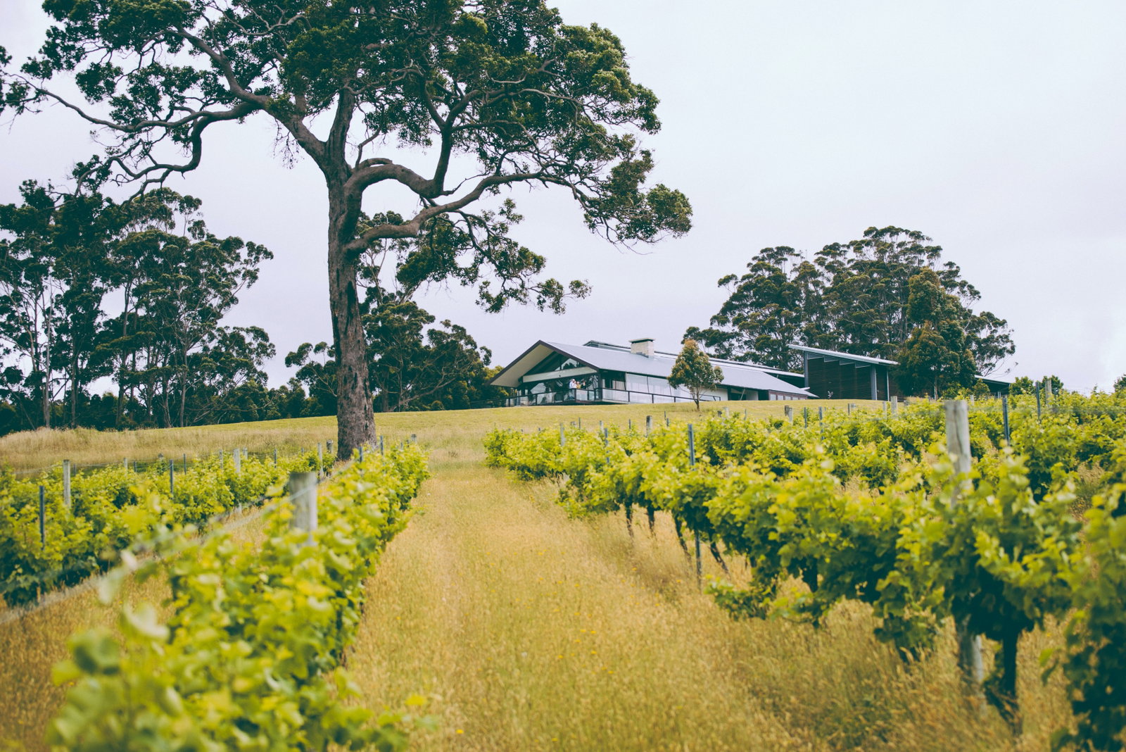Itineraries Hexham ACT Accommodation Fremantle