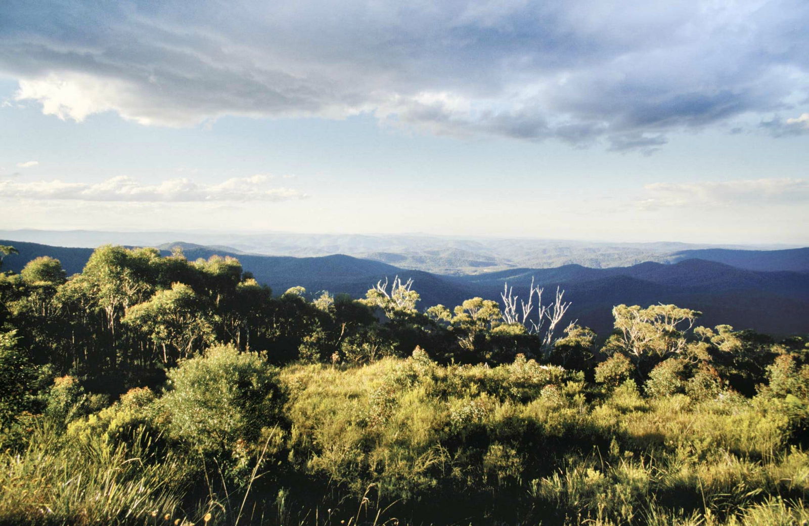 Tyringham NSW Accommodation Fremantle