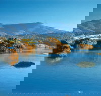 Wagonga Picnic Area - Accommodation Fremantle