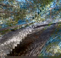Wallumatta Nature Reserve - Accommodation Fremantle