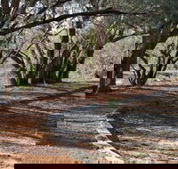 Warrego Floodplain walking track - Accommodation Fremantle