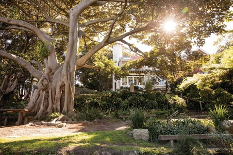 Wendy Whiteley's Secret Garden - Accommodation Fremantle 0
