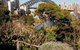 Wendy Whiteley's Secret Garden - thumb 2