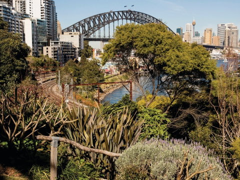 Wendy Whiteley's Secret Garden - Accommodation Fremantle 2