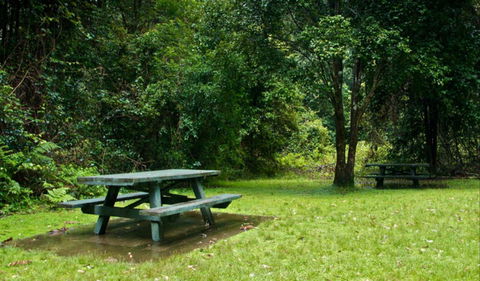 Williams River Picnic Area - Accommodation Fremantle 0