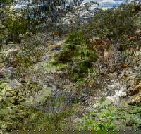 Yarrambat Park - Accommodation Fremantle