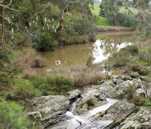 Yarrambat Park - Accommodation Fremantle 1