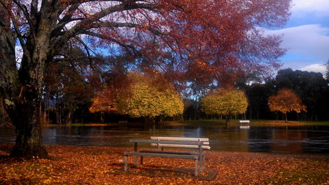 Bells Parade Reserve - Accommodation Fremantle 0