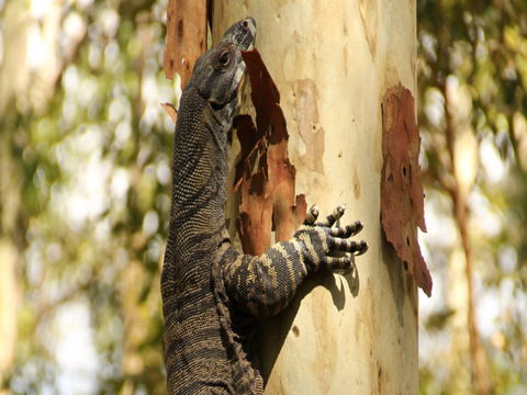 Blue Gum Hills Regional Park - Accommodation Fremantle 0