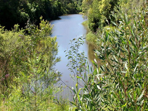 Blue Gum Hills Regional Park - Accommodation Fremantle 1