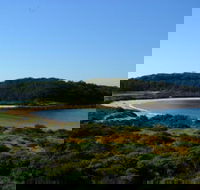 Broulee Island Nature Reserve Walk - Accommodation Fremantle