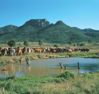 Bundaberg- Biggenden- Mount Perry Circle - Accommodation Fremantle