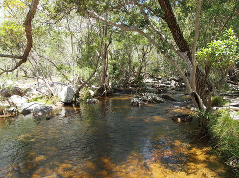 Emerald Creek, Dinden West Forest Reserve - Accommodation Fremantle 1