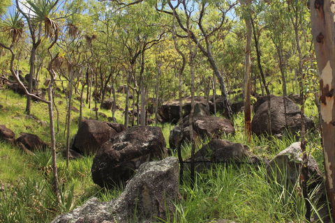 Emerald Creek, Dinden West Forest Reserve - Accommodation Fremantle 2