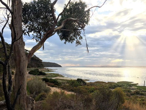 Fish Cannery Walking Trail - Accommodation Fremantle 0