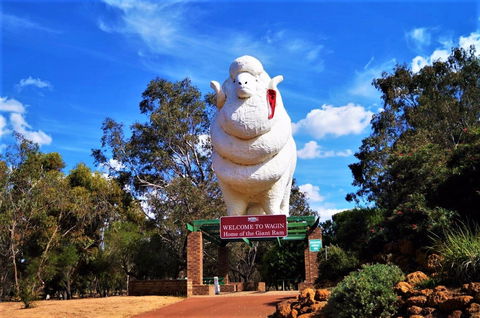 Giant Ram Park - Accommodation Fremantle 0