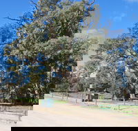 Giant Gum Tree - Accommodation Fremantle