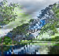 Gold Coast Regional Botanic Gardens - Accommodation Fremantle