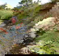 Gold Panning Deep Creek - Accommodation Fremantle