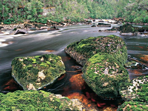 Gordon River - The - Accommodation Fremantle 2