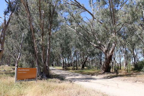 Gunbower Island Forest Drive - Accommodation Fremantle 2