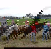 High Country Trail Rides - Accommodation Fremantle