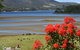 Inverawe Native Gardens - thumb 1