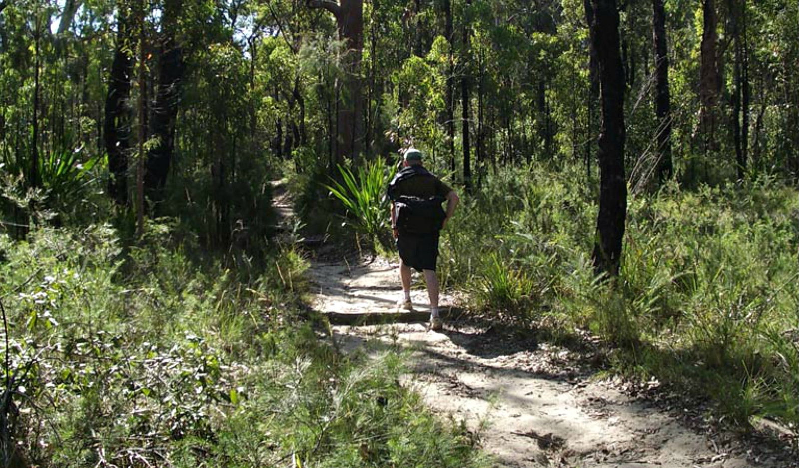 Woronora Heights NSW Accommodation Fremantle