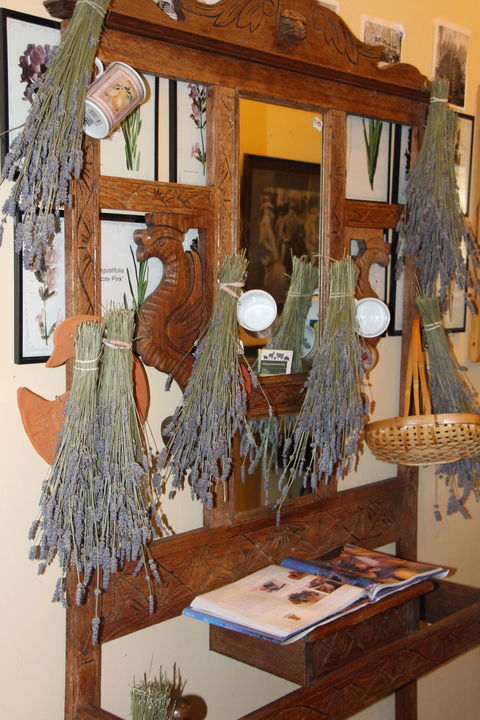 Lavender House In Railway Park - Accommodation Fremantle 1