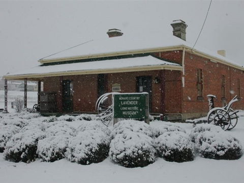 Lavender House In Railway Park - Accommodation Fremantle 2