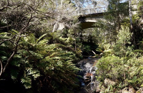 Leura Cascades Picnic Area - Accommodation Fremantle 1