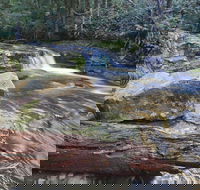 Liffey Falls Reserve - Accommodation Fremantle