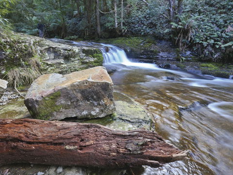 Liffey Falls Reserve - Accommodation Fremantle 0