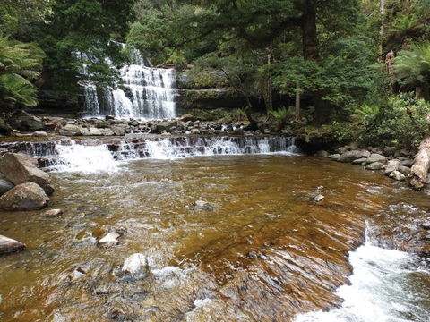 Liffey Falls Reserve - Accommodation Fremantle 1