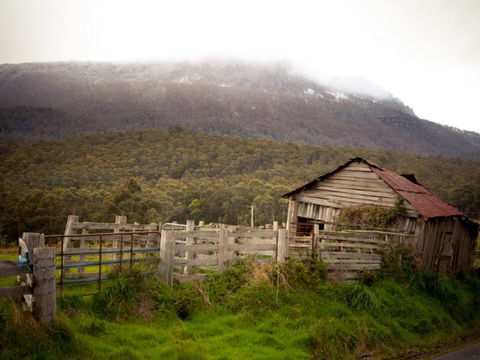 Liffey Falls Reserve - Accommodation Fremantle 2