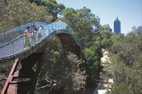 Lotterywest Federation Walkway - Kings Park - Accommodation Fremantle 1